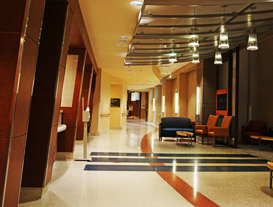 Terrazzo Floor Polishing Terrazzo Floor Polishing